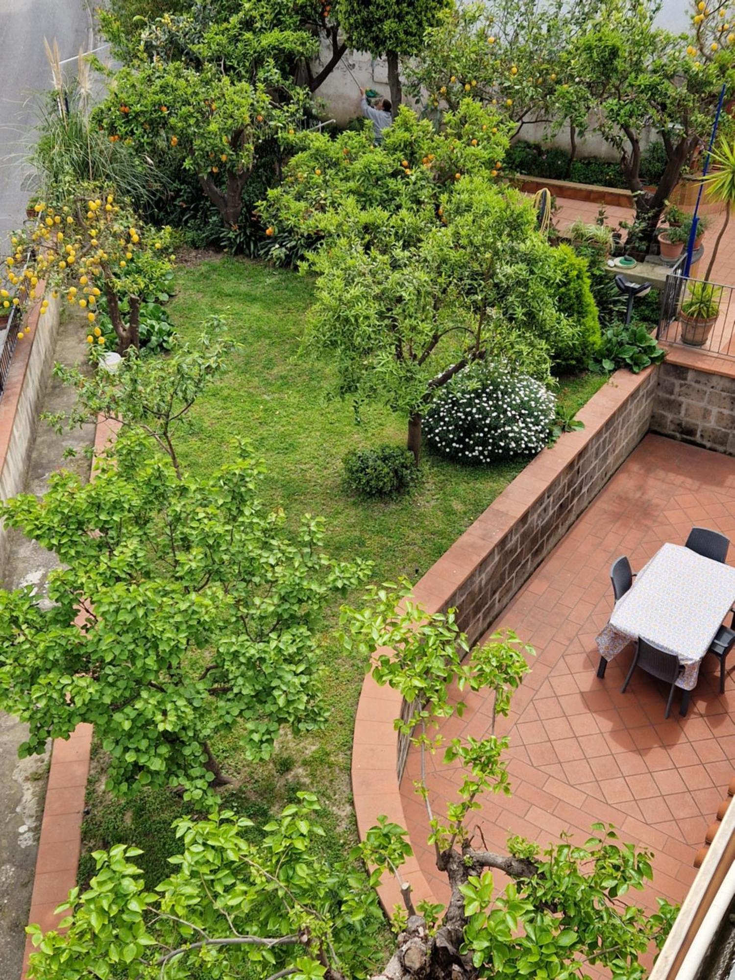 Il Giardino Dei Gigli Apartment Meta Exterior photo